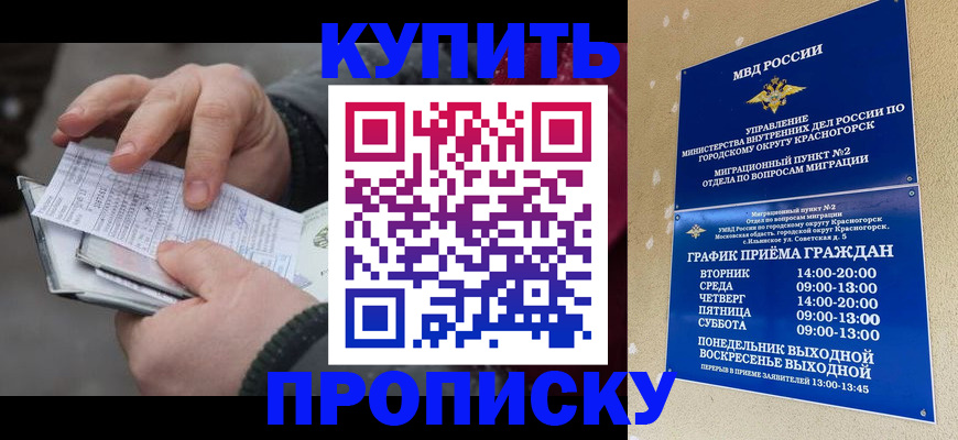 временная регистрация недорого в Баймаке